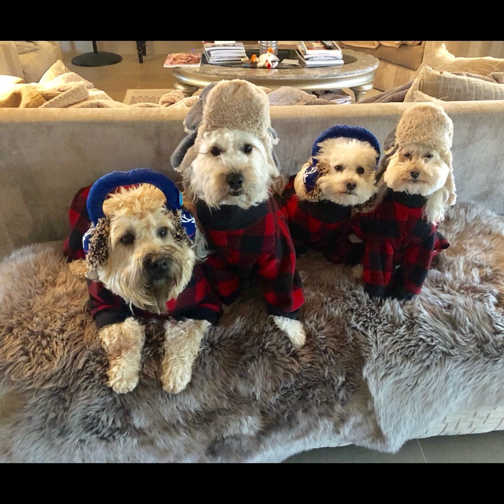 ⭐️Posh Ambassador II ⭐️ - Picture 8 of 16